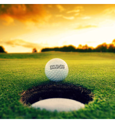 Golfball "Titleist Pro V1x" (12 Stück) 2