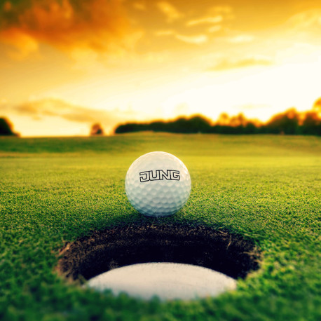 Golfball "Titleist Pro V1x" (12 Stück)