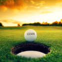 Golfball "Titleist Pro V1x" (12 Stück)