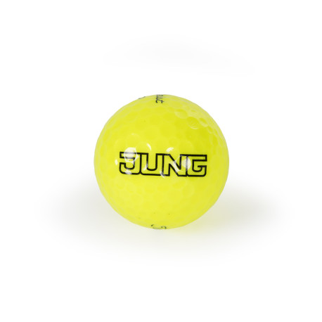 Golfball "Titleist Pro V1x" (12 Stück)