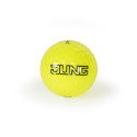 Golfball "Titleist Pro V1x" (12 Stück)